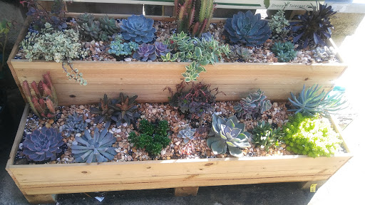 Supermarket «ALDI», reviews and photos, 770 St Lucie W Blvd, Port St Lucie, FL 34986, USA