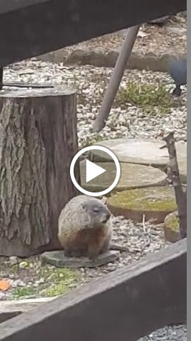 Real Estate Developer «Eagle Lake Community Association», reviews and photos, 15 A M Hughes Blvd, Gouldsboro, PA 18424, USA