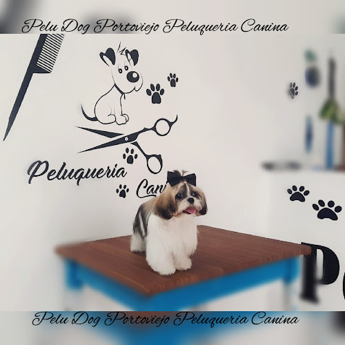Opiniones de Pelu Dog Portoviejo Peluqueria Canina en Portoviejo - Peluquería