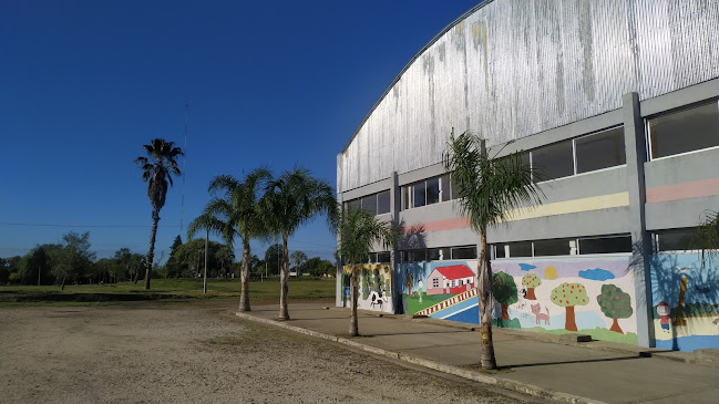 Polideportivo Municipal - Gimnasio
