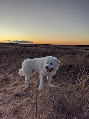 Oasis State Park - photo 73