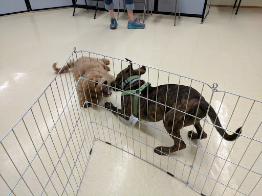 Pet Supply Store «Petco Animal Supplies», reviews and photos, 416 Crossroads Blvd, Cary, NC 27518, USA