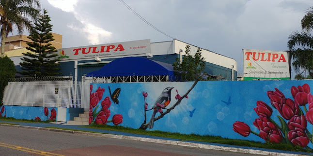 Tulipa Comércio de Essências