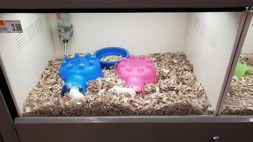 Pet Supply Store «Pet Supplies Plus», reviews and photos, 977 Atlantic Blvd, Atlantic Beach, FL 32233, USA