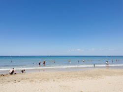 Conche of Whales beach'in fotoğrafı birden fazla uzun koy ile birlikte