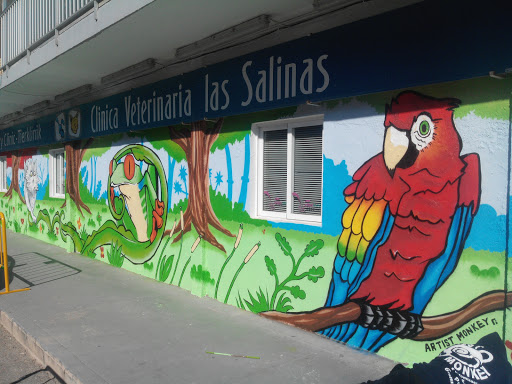 Clínica Veterinaria Les Salines en Calp