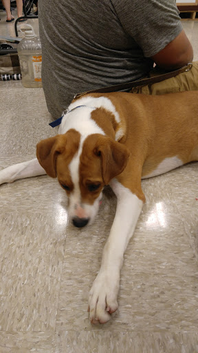 Pet Supply Store «PetSmart», reviews and photos, 144 Retail Commons Pkwy, Martinsburg, WV 25403, USA