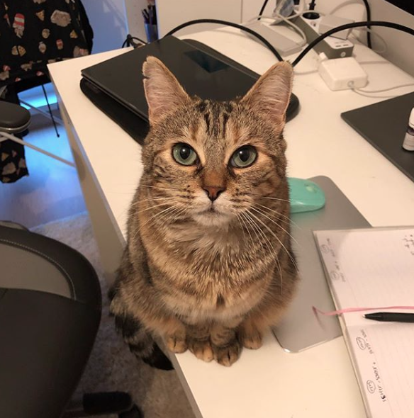 Photo n° 1 de l'avis de Ugo.E fait le 17/08/2019 à 07:24