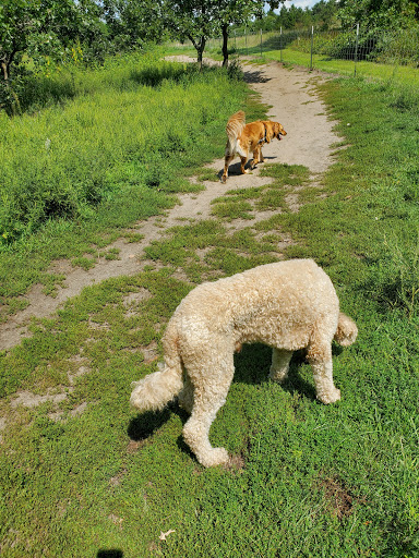Dog Park «Bunker Hills Dog Park», reviews and photos, 1620 133rd Ave NW, Coon Rapids, MN 55448, USA