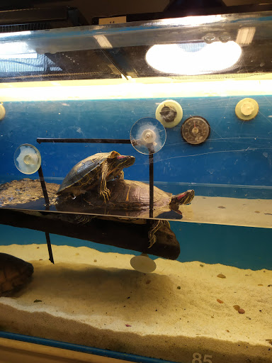 Pet Supply Store «PetSmart», reviews and photos, 3500 Ross Clark Cir, Dothan, AL 36303, USA