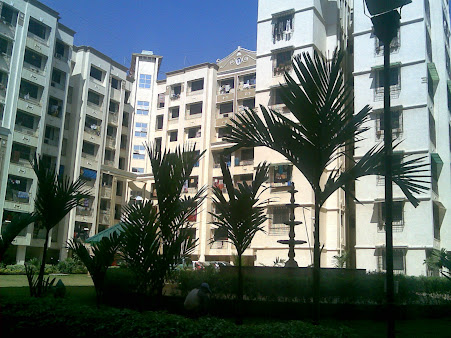 Google Maps image 15