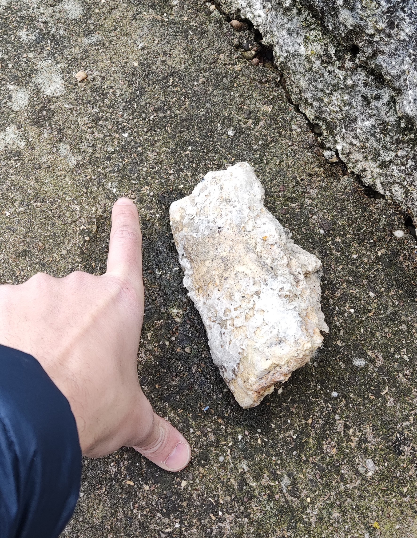 Photo n° 1 de l'avis de Yannick.O fait le 17/02/2022 à 22:49
