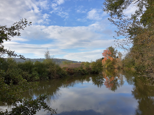 The Riverside and Secret Garden