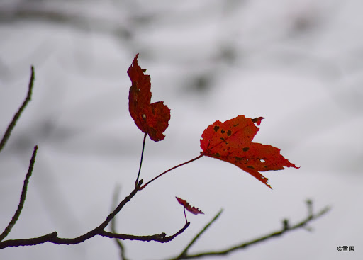 National Park «Cumberland Gap National Historical Park», reviews and photos, 91 Bartlett Park Road, Middlesboro, KY 40965, USA