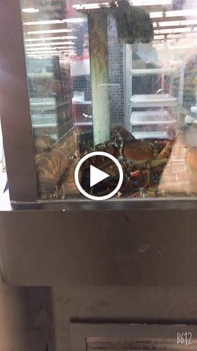 Grocery Store «Winn-Dixie», reviews and photos, 281 SW Port St Lucie Blvd, Port St Lucie, FL 34984, USA