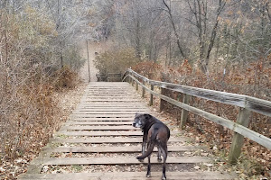 Arlington/Arkwright Off Leash Dog Park