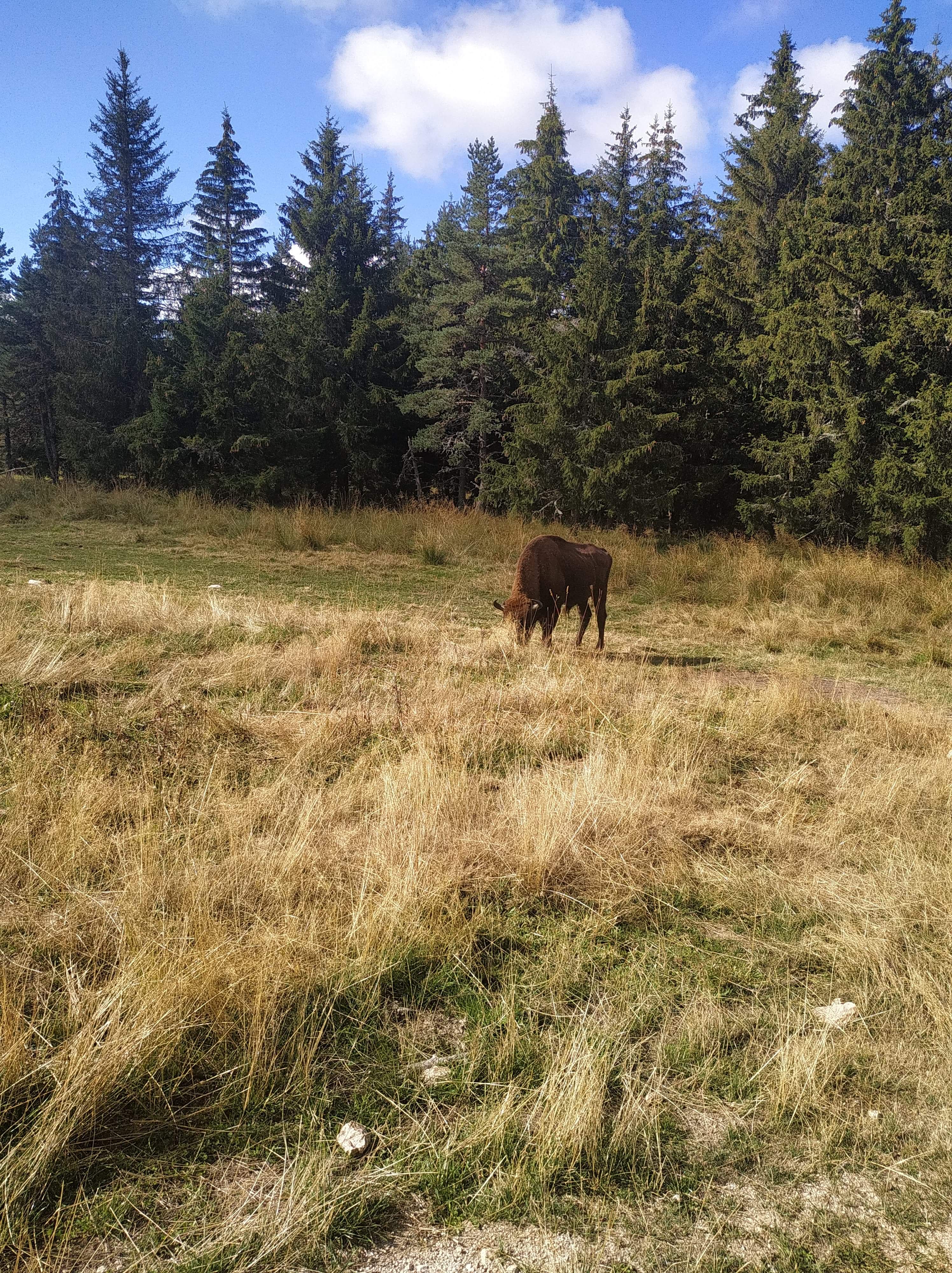 Photo n° 5 de l'avis de sylvain.o fait le 06/09/2020 à 15:14