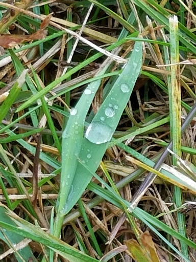 Park «Hickory Creek Preserve - LaPorte Road Access», reviews and photos, 10537 W La Porte Rd, Mokena, IL 60448, USA