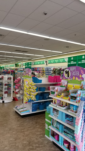 Dollar Store «Dollar Tree», reviews and photos, 17418 Northwest Fwy, Jersey Village, TX 77040, USA