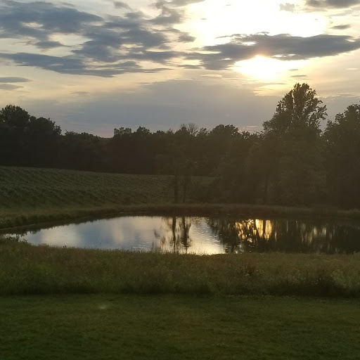 Wedding Venue «Hidden Vineyard Wedding Barn», reviews and photos, 6337 Snyder Rd, Berrien Springs, MI 49103, USA