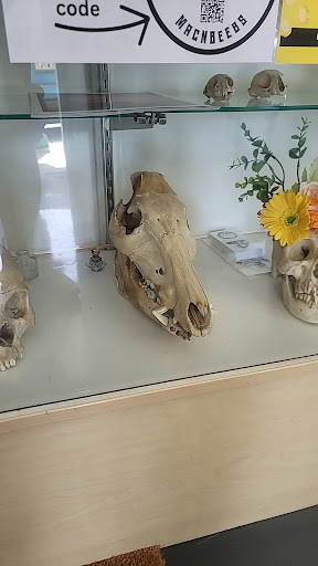 Explore psalm 23 tattoo ideas, creative tattoo ideas in El Sobrante, available at True Ambition Art Company