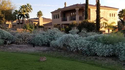 Country Club «Red Mountain Ranch Country Club», reviews and photos, 6425 E Teton Cir, Mesa, AZ 85215, USA