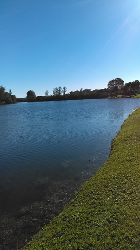 Thrift Store «Goodwill», reviews and photos, 9160 W State Rd 84, Davie, FL 33324, USA