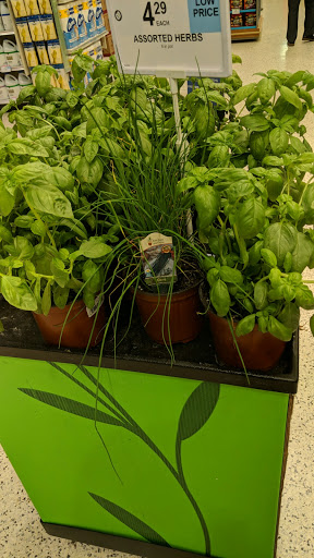 Supermarket «Publix Super Market at Main Street», reviews and photos, 300 Cherokee Pl, Cartersville, GA 30121, USA