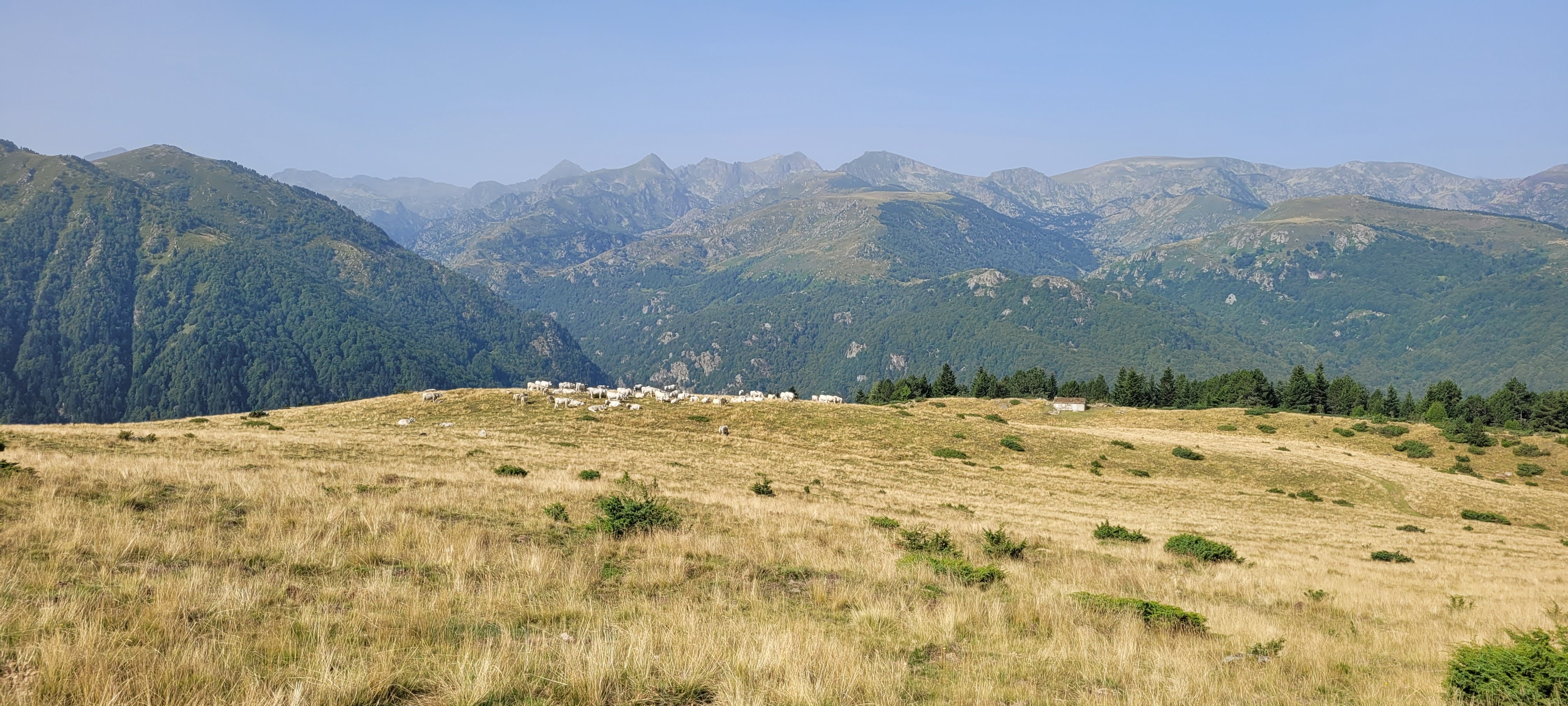 Photo n° 2 de l'avis de Benjamin.a fait le 12/08/2023 à 13:49