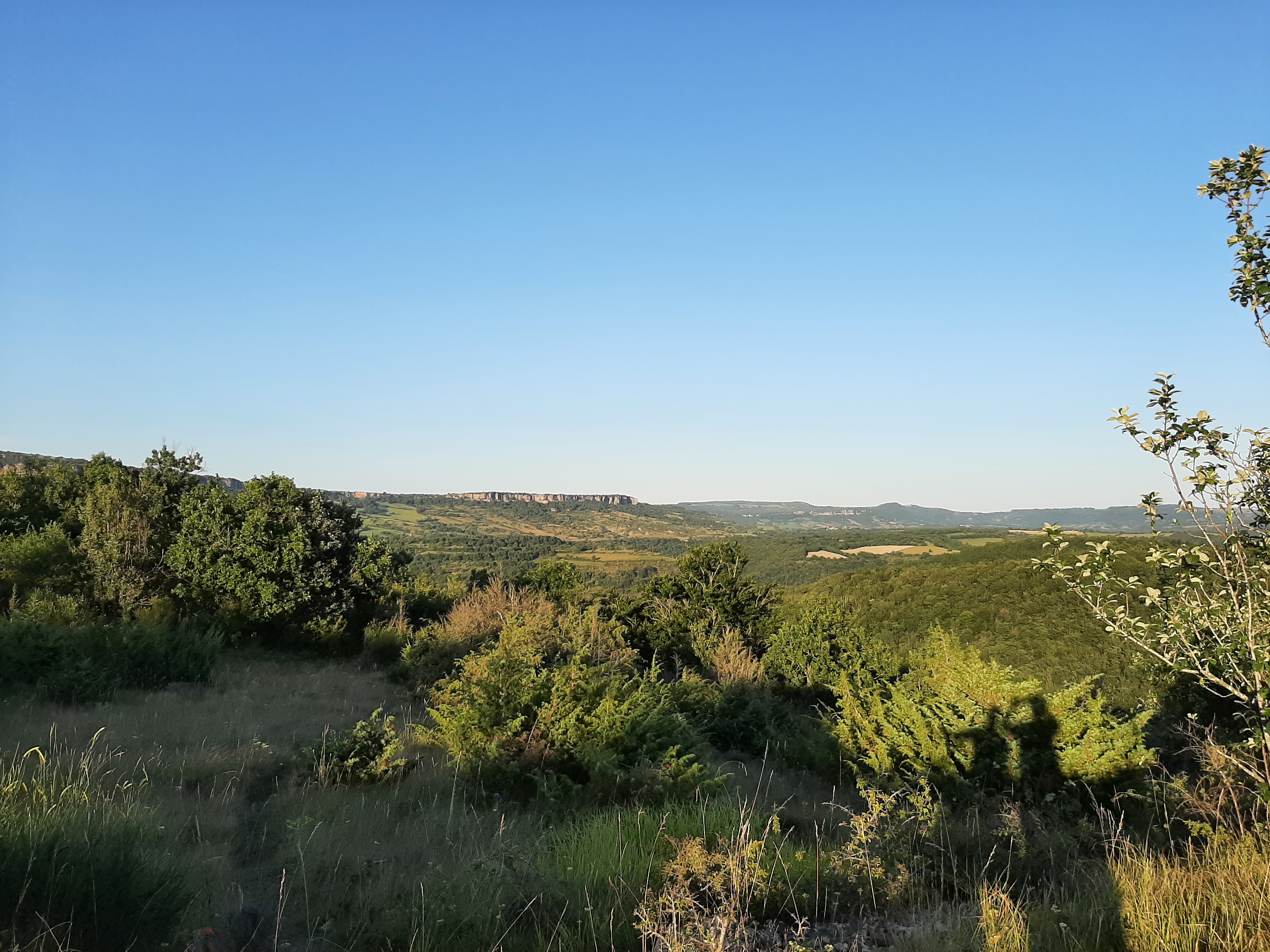 Photo n° 3 de l'avis de Doralin.u fait le 09/08/2021 à 18:12