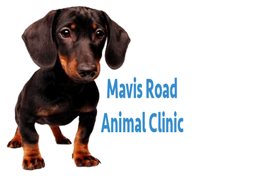 Mavis Road Animal Clinic