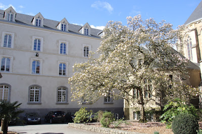 Collège Lycée Saint Martin à Rennes