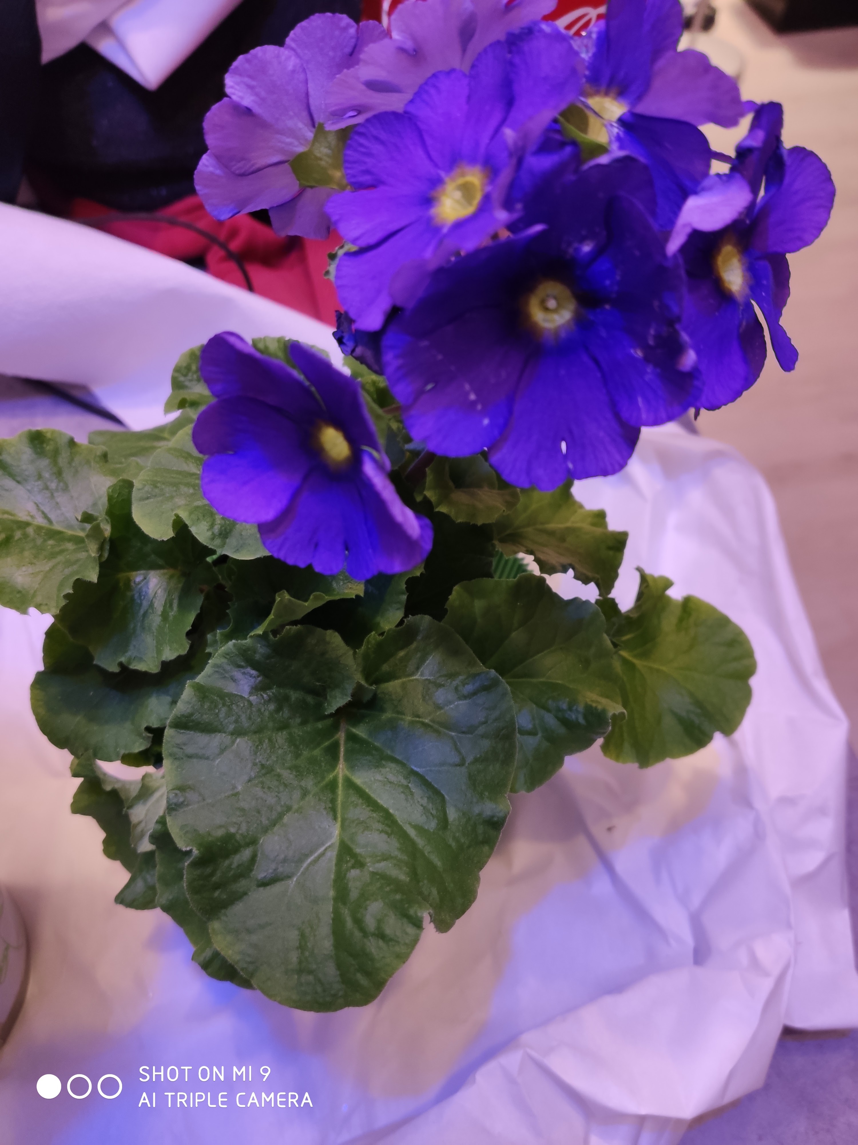 Photo n° 1 de l'avis de Pauline.A fait le 11/12/2020 à 21:31