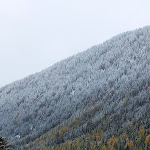 Photo n°2 de l'avis de Lutz.r fait le 27/10/2020 à 19:53 sur le  Hotel MASL à Valler Tal