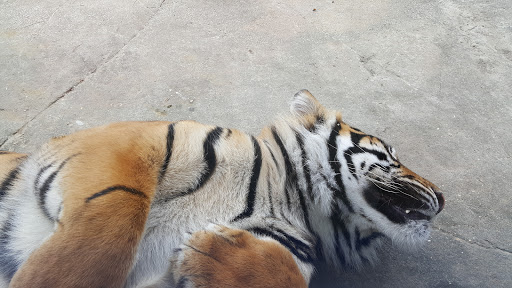 Zoo «The Jackson Zoological Park», reviews and photos, 2918 W Capitol St, Jackson, MS 39209, USA