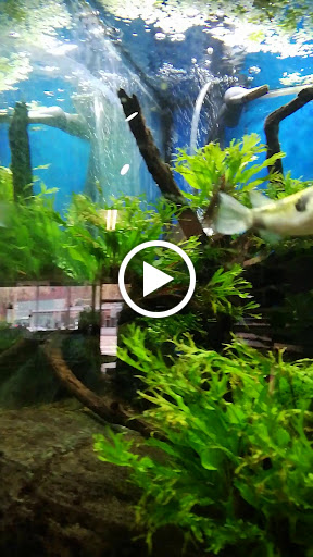 Pet Supply Store «Wet Spot Tropical Fish», reviews and photos, 4310 NE Hancock St, Portland, OR 97213, USA