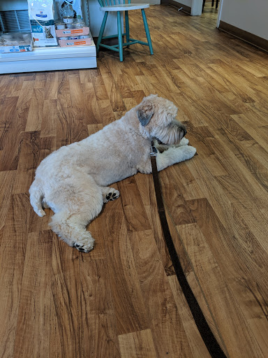 VCA Foster Park Animal Hospital image