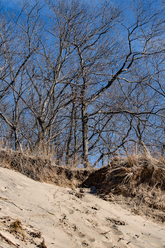 Hiking Area «Cowles Bog Trail», reviews and photos, 1618 N Mineral Springs Rd, Dune Acres, IN 46304, USA