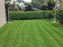 RIvera landscaping and lawn services - Photo 1 - Car repair in Davie, FL, Davie