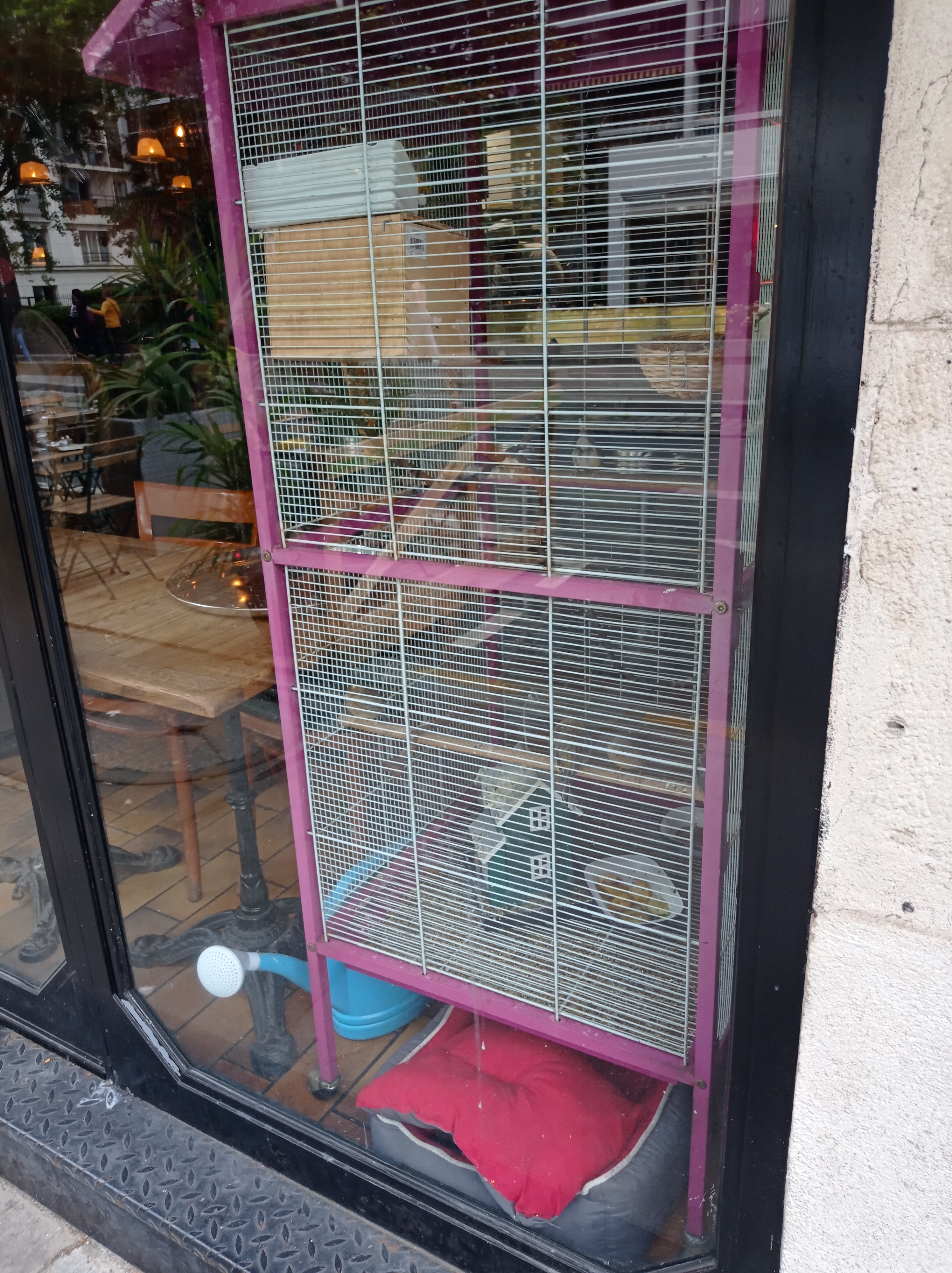 Photo n° 2 de l'avis de Ispahan.y fait le 02/07/2022 à 05:15