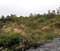 Huayamilpas Ecological Park photo