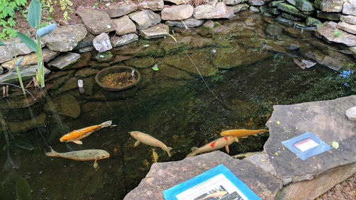 Pet Store «Aquarium», reviews and photos, 6410 Papermill Pl Way, Knoxville, TN 37919, USA