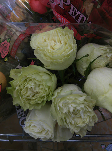 Supermarket «ALDI», reviews and photos, 1702 Brady St, Davenport, IA 52803, USA