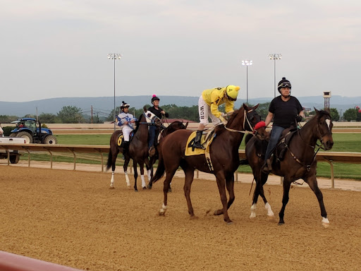 Casino «Hollywood Casino at Charles Town Races», reviews and photos, 580 E 5th Ave, Ranson, WV 25438, USA