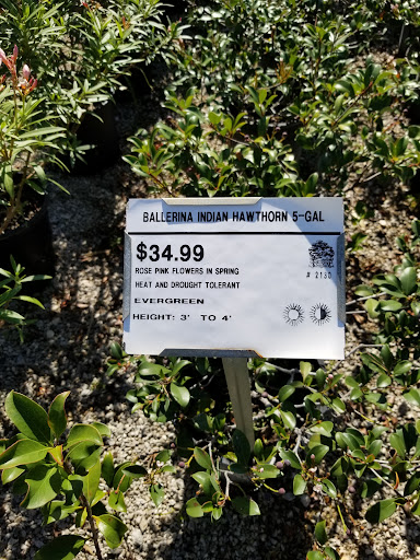 Plant Nursery «Guerin Nursery and Boutique», reviews and photos, 1418 Fall Creek Hwy, Granbury, TX 76049, USA