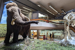 Naturkundemuseum am Löwenstein // Paläontologie // Das Dinomuseum