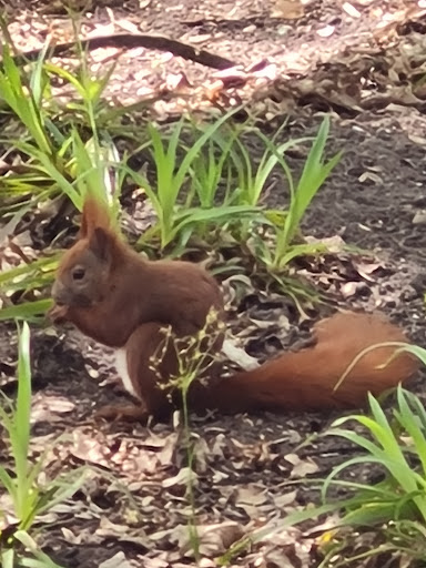 Küçük Resim 1