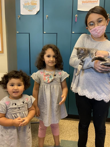 Non-Profit Organization «Valley Humane Society», reviews and photos