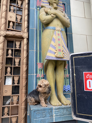 Thrift Store «New Elephant Resale Shop Of Chicago, NFP», reviews and photos, 2325 N Clark St, Chicago, IL 60614, USA