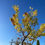 Photo n°7 de l'avis de Sophie.o fait le 27/11/2022 à 10:51 sur le  biagioni salò à Salò